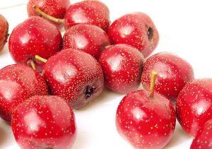 Hawthorn viljade ekstrakt