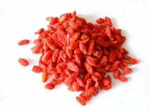 orgaaniline hundimarja