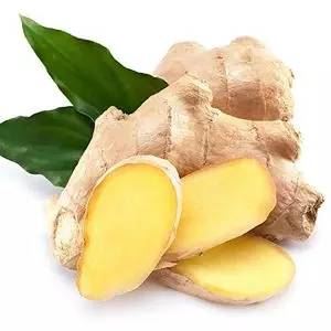 Ingver Ginger