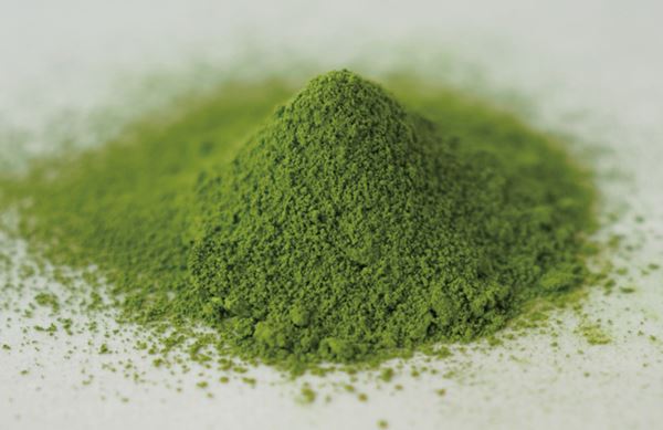 Orgaaniline Matcha pulber