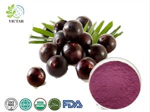 Acai marjamahla pulber