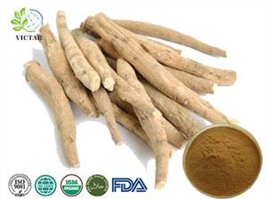 Ashwagandha ekstrakt
