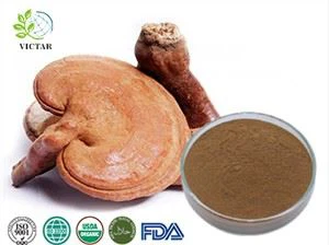 reishi ekstrakt