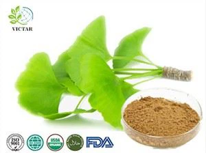 Ginkgo Biloba ekstrakt