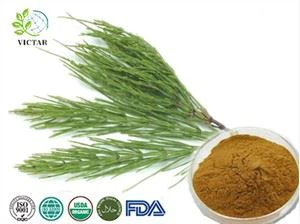 Horsetail väljavõte