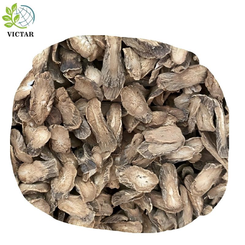 product-800-800